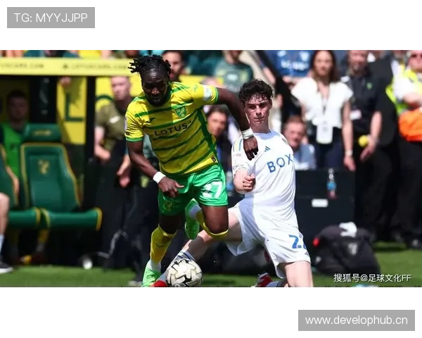 拉菲尼亚：利兹联时期成为球队进攻核心