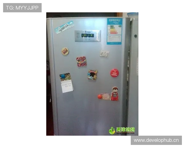 谷爱凌家的冰箱贴都是金牌形状的？